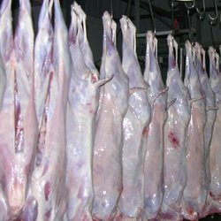 Apna Bazaar Pearland - 100% Fresh Halal Meat
