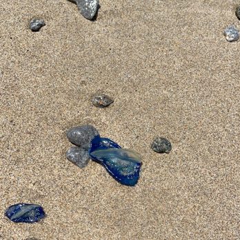 Kehoe Beach - Kehoe Beach - Beaches Near Me - Tomales Bay, California