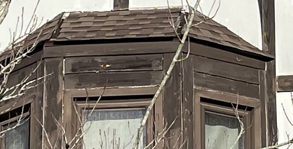 R L Hayes Roofing & Repairs