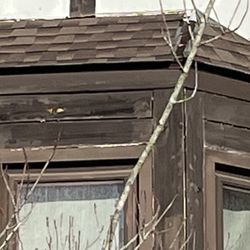 R L Hayes Roofing & Repairs - An example of their "work"