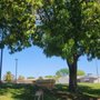 Photo of Greenfield Park