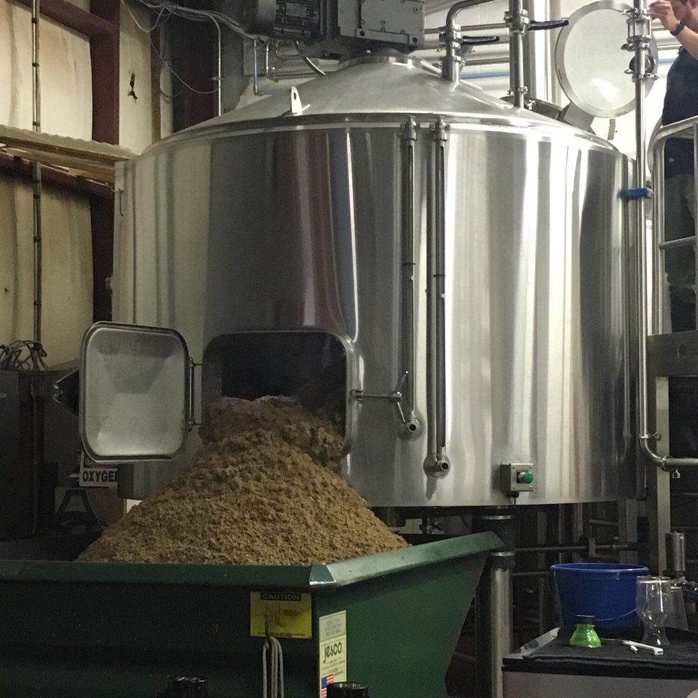 Cape Cod Beer - Barley coming out - Breweries Near Me - Hyannis, Massachusetts
