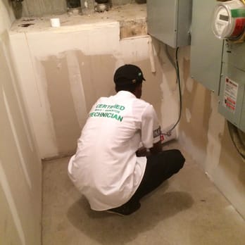 Apex Mold Specialists - Damage Restoration Near Me - Brooklyn, New York
