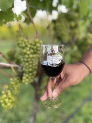 Willow Creek Winery & Farm by null