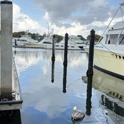 Key Largo Fisheries - View