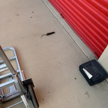 SecurCare Self Storage - Rat at storage. - Self Storage Near Me - Rosamond, California SecurCare Self Storage - Rat at storage. - Self Storage Near Me - Rosamond, California