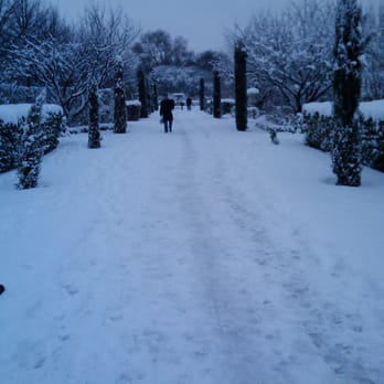 The Regent's Park - Parks Near Me - London, XGL