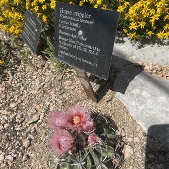 Lady Bird Johnson Wildflower Center - Botanical Gardens Near Me - Austin, Texas