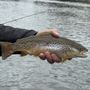 Photo of Premier Angling Guide Service
