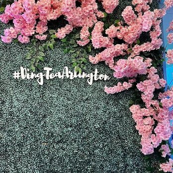Ding Tea Arlington - Photo Spot - Coffee & Tea Near Me - Arlington, Texas Ding Tea Arlington - Photo Spot - Coffee & Tea Near Me - Arlington, Texas