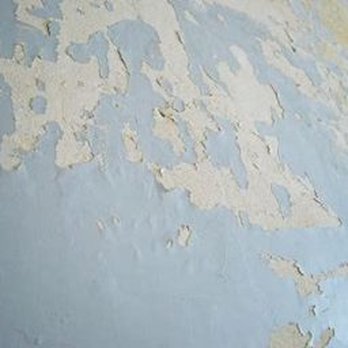 Totally Off The Wall - Wallpapering Near Me - Sarasota, Florida