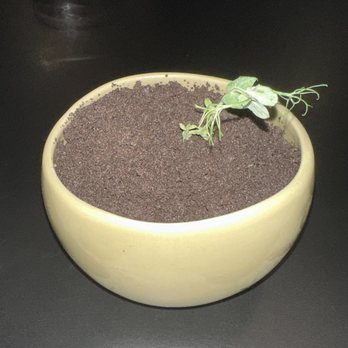 Eating House - Dirt Cup - Beer, Wine & Spirits Near Me - Miami, Florida