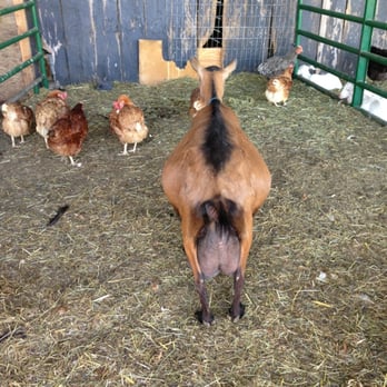 The Farm - Vacation Rentals Near Me - Danville, Kentucky