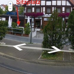 Vier Taxbäume