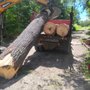 Photo of Northern New England Tree Removal