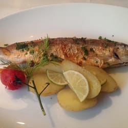 Zum Salzbaron - Grill trout...25 euro