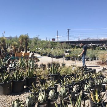 Sunset Gardens - Outdoor section - Nurseries & Gardening Near Me - El Paso, Texas