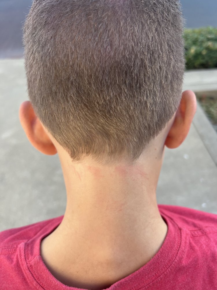 GREAT CLIPS Updated September 2024 43 Reviews 10444 Twin Cities