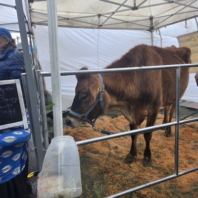 Capitol Hill Farmers Market by null