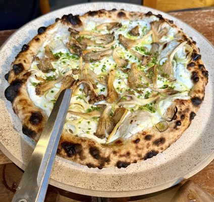 Light Sleeper by null