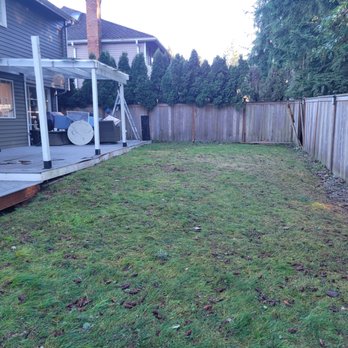 Modern Tree Solutions - Tree Services Near Me Modern Tree Solutions - Tree Services Near Me