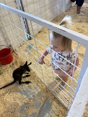 Colorado State Fairgrounds by null