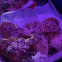 Photo of Pizza Tropical