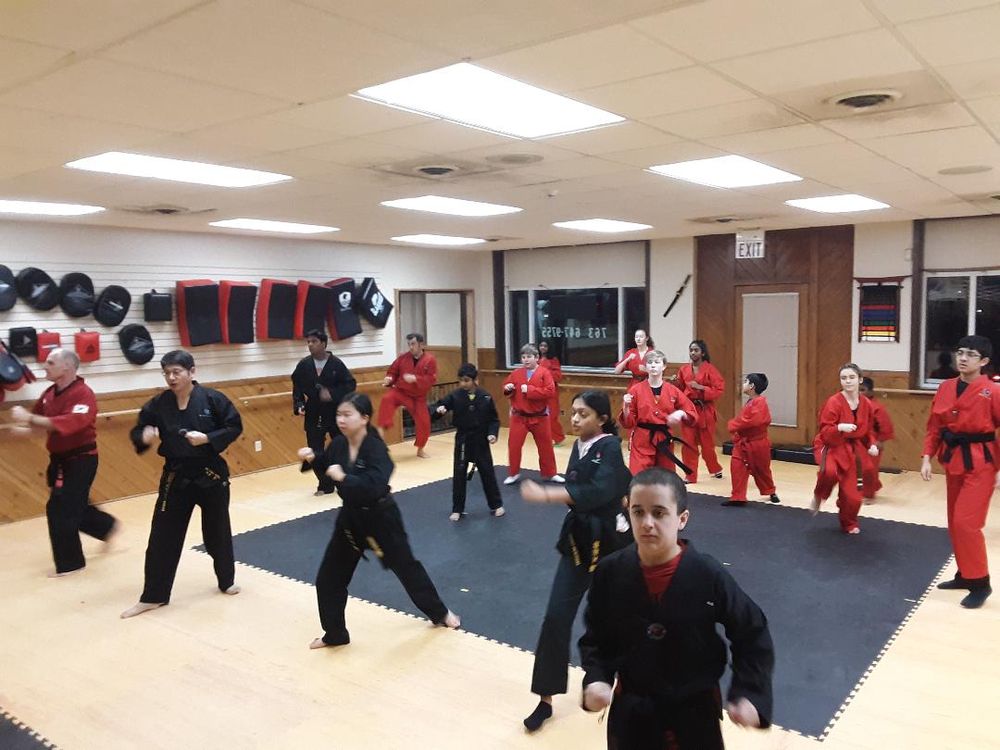 ULTIMATE MARTIAL ARTS Updated June 2024 147 Hamel Rd, Medina