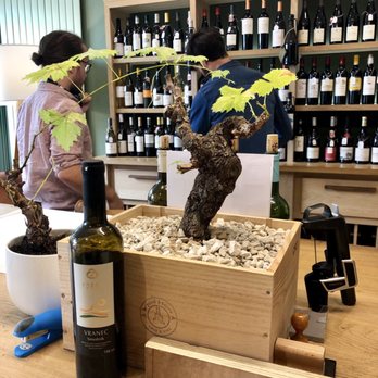 Le Pied à Terre - The "bonsai style" grapevines were a lovely touch. - Beer, Wine & Spirits Near Me - Bordeaux, 33 Le Pied à Terre - The "bonsai style" grapevines were a lovely touch. - Beer, Wine & Spirits Near Me - Bordeaux, 33