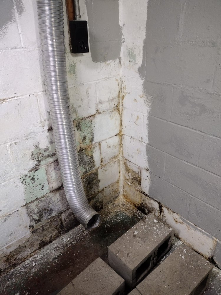 Bactronix of SWPA - mold inspector in Boswell, PA