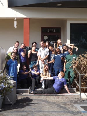 vca tlc animal hospital