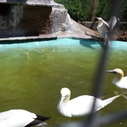 Seal Sanctuary