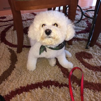 PetSmart - Pet Groomers Near Me - Camarillo, California