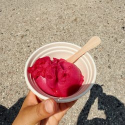 Pure Joy Ice Cream - Prickly Pear