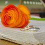 Photo of J. Albrecht Designs