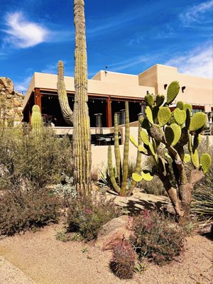 Four Seasons Resort Scottsdale by null