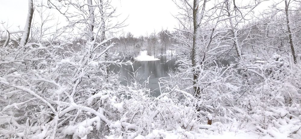 Crains Run Hoa - social services organization in Miamisburg, OH