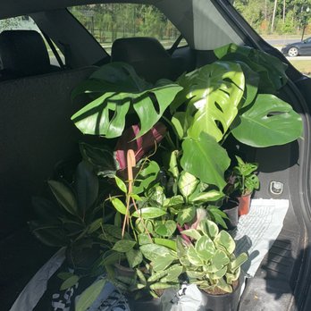 Reese's Plants - Nurseries & Gardening Near Me - Blythewood, South Carolina