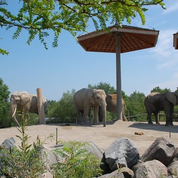 Toronto Zoo - Zoos Near Me - Toronto, Ontario Toronto Zoo - Zoos Near Me - Toronto, Ontario