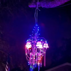 Chandeliers of Dunedin