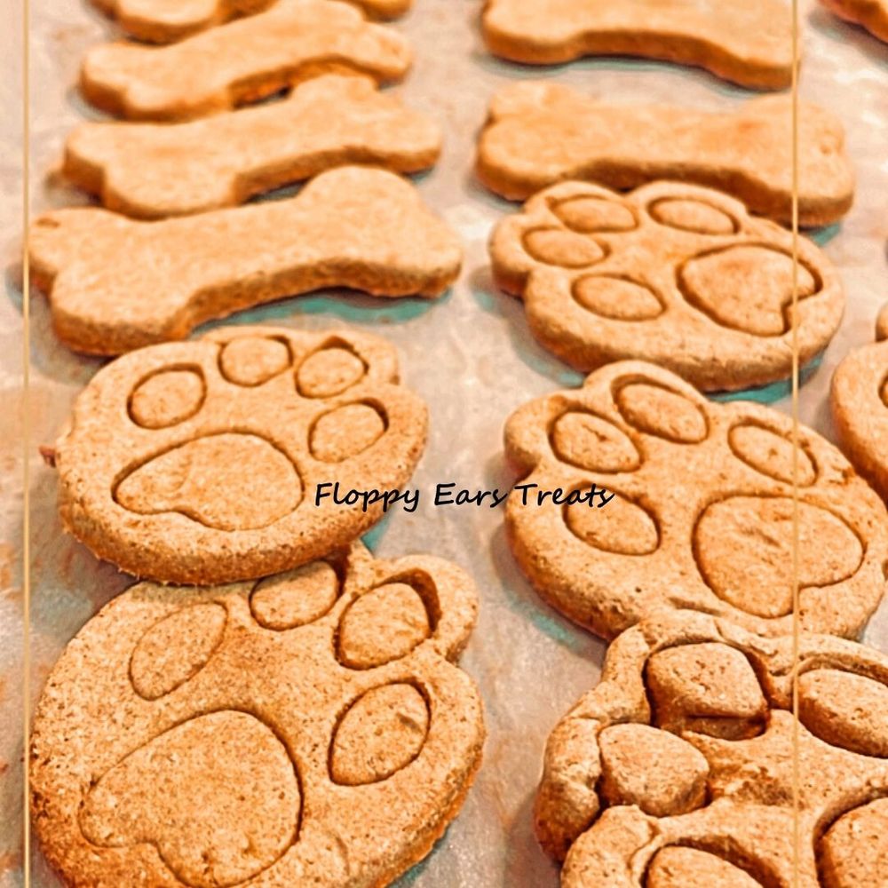 Floppy Ears Treats Logo