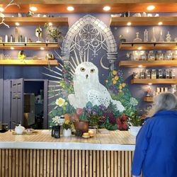 Snowy Owl Kombucha - Ordering counter