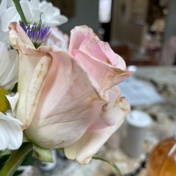 Xavier's Flower Shop - Florists Near Me - Fall River, Massachusetts