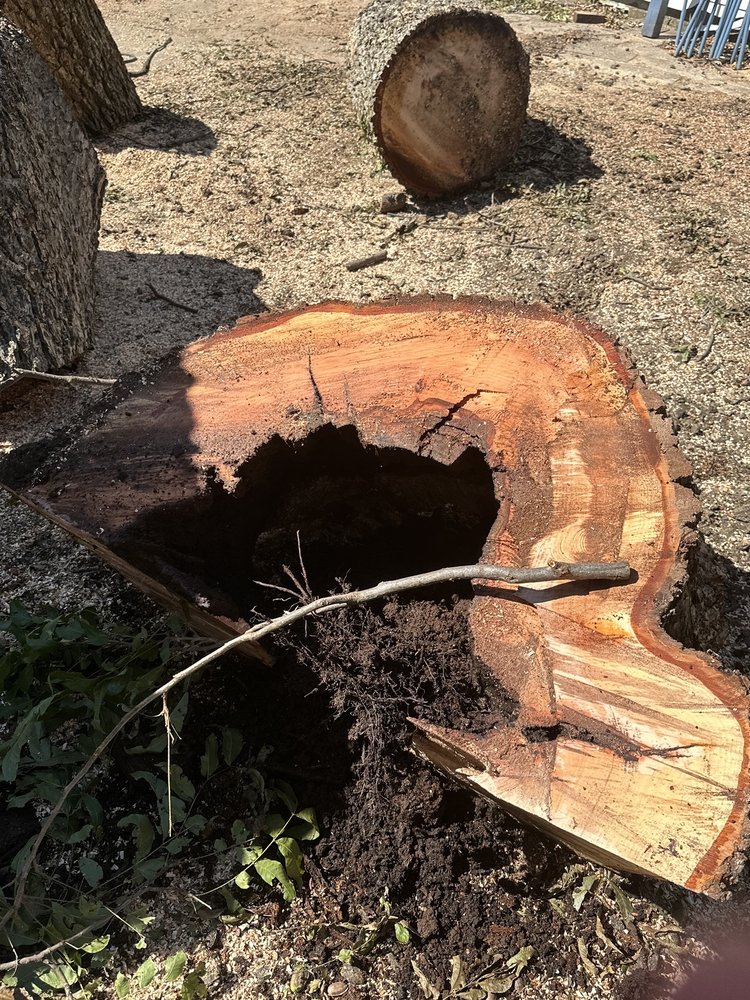 Atkins Tree Care - tree service in Tulsa, OK