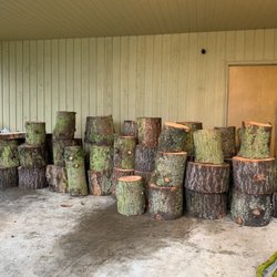 Blue Ribbon Tree - Fir trees cut into rounds and taken away...