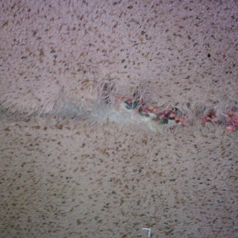 Jim Ryan Carpet Repair - Carpet Installation Near Me Jim Ryan Carpet Repair - Carpet Installation Near Me