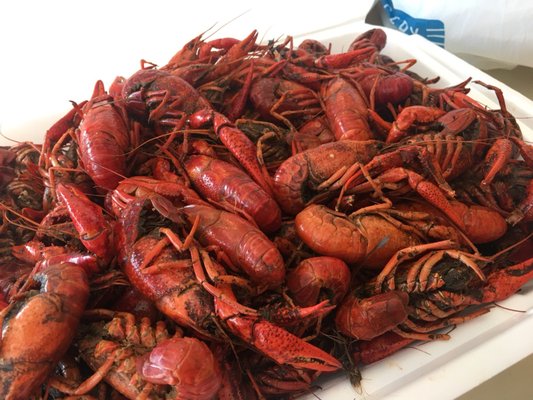 Lakeview Grocery by null