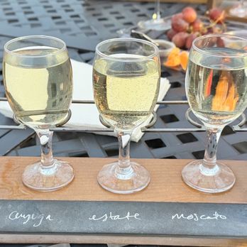 Aquila's Nest Vineyards - Wine Tasting Room Near Me - Newtown, Connecticut