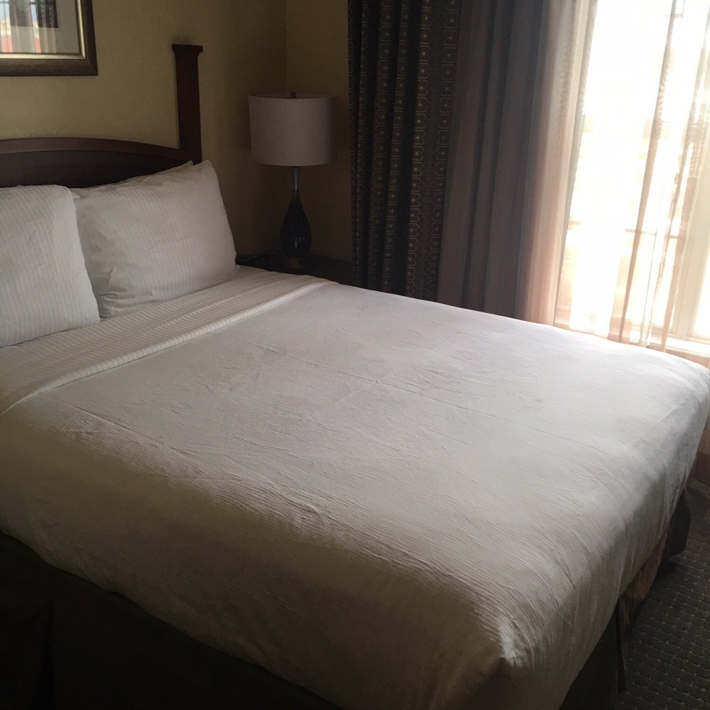 Staybridge Suites Denver Tech Center - Hotels Near Me - Centennial, Colorado