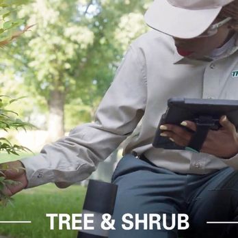 TruGreen Lawn Care - Tree Services Near Me - Cape Girardeau, Missouri TruGreen Lawn Care - Tree Services Near Me - Cape Girardeau, Missouri